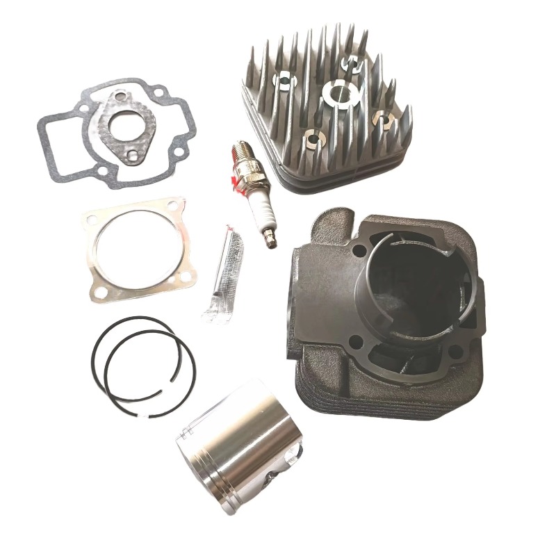 OEM 2-Stroke for Piaggio70 ZIP - đánh giá và giá Motorcycle Cylinder